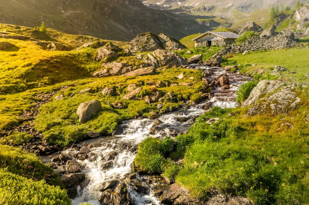 Bachlauf und grüne Wiesen - Wandern in Schladming-Dachstein